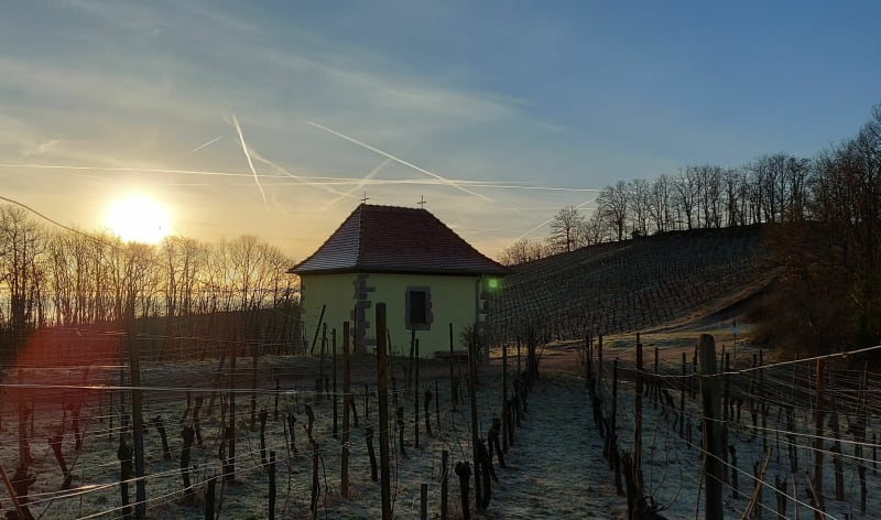 Entre Turckheim et Niedermorschwihr avec son clocher vrillé - Turckheim