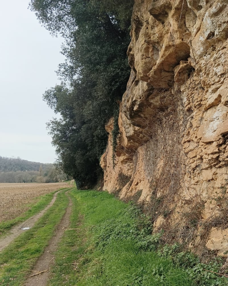 Balade entre Grolejac et Carsac par Gazaille, en longeant la Dordogne - Groléjac