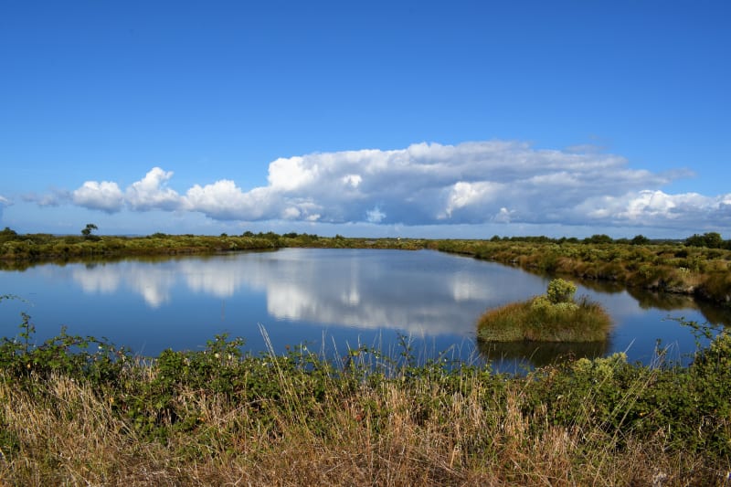 Par le Port d'Audenge à Lanton - Audenge