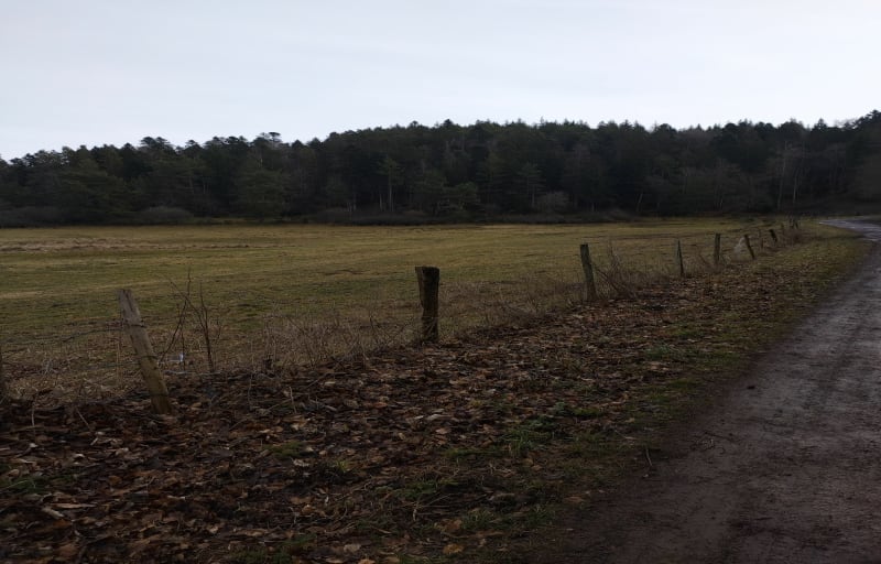 Narse de Beaunit et Puy de Verrieres. - Charbonnières-les-Varennes