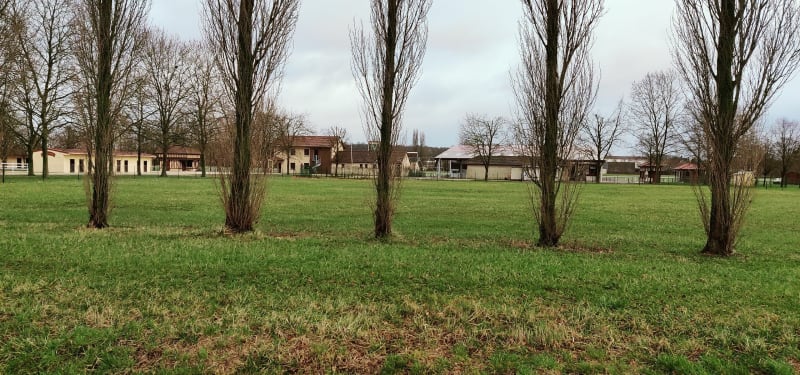 Marché autour de Montier-en-Der - La Porte-du-Der