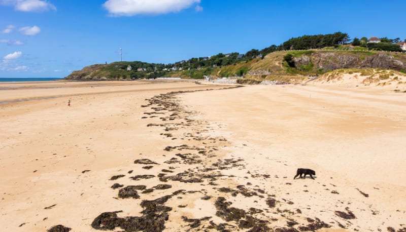 Entre mer et campagne à Barneville-Carteret - Barneville-Carteret