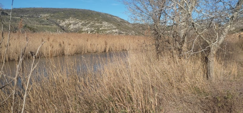La Roselière des Tamaris - Martigues