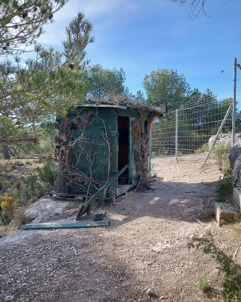 Balade en foret de Cabries - Cabriès