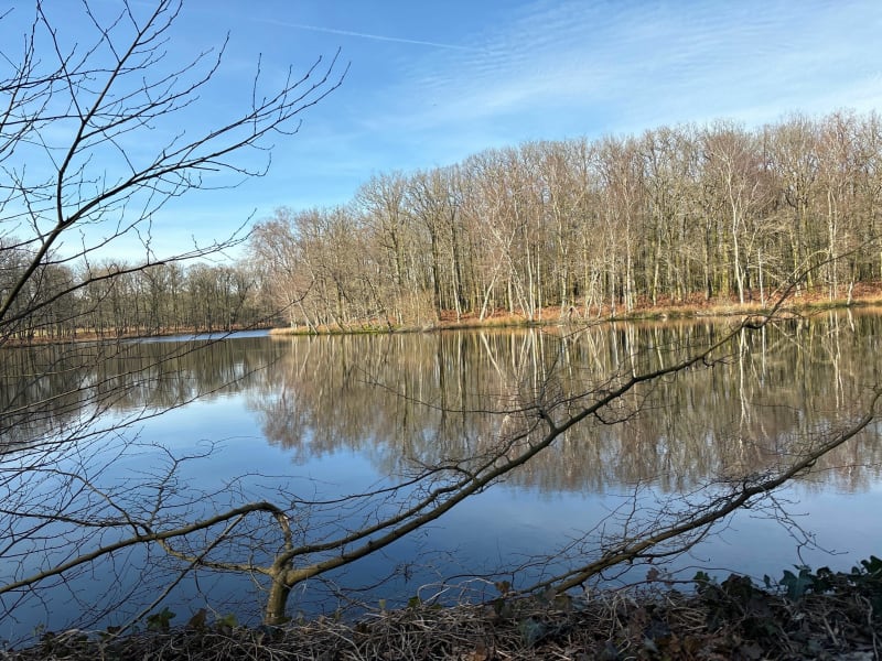 Balade en campagne entre Thorigny et Fougeré - Thorigny