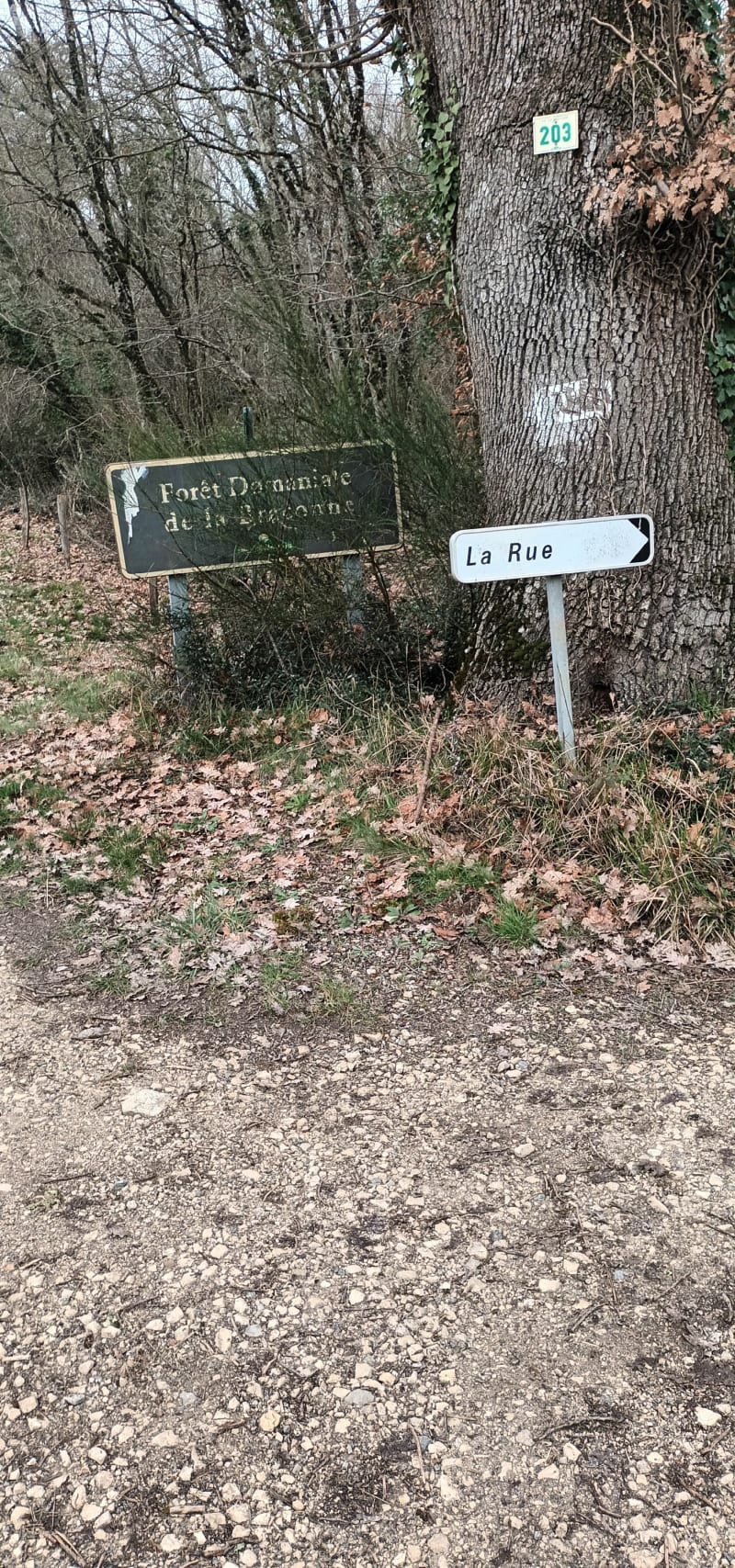 Balade à Mornac - Mornac
