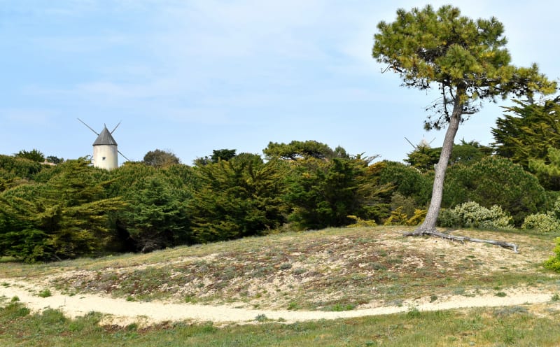 Balade dans les marais autour de La Guérinière - La Guérinière