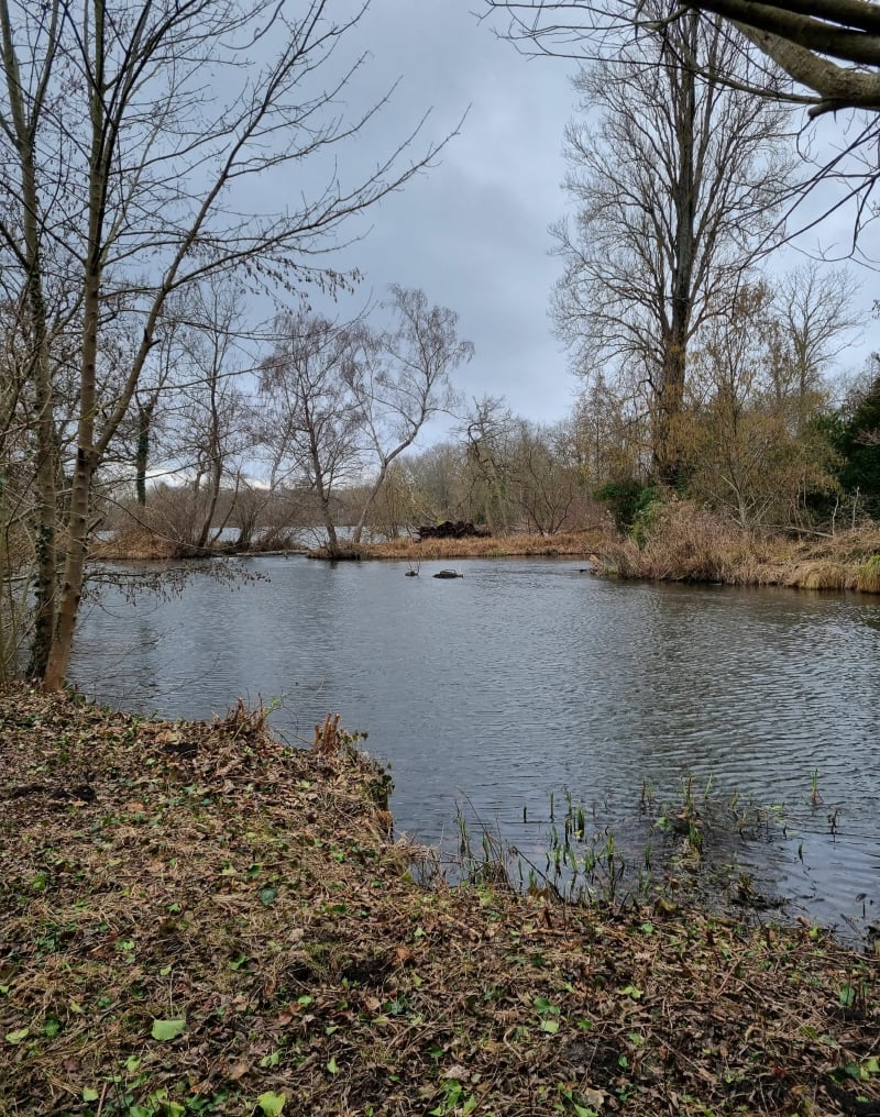 Entre route, lacs et Marais par Aubin - Itteville
