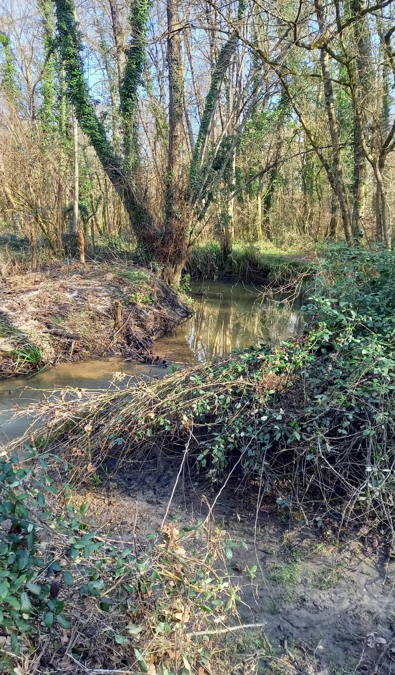 Randonnée au départ du stade d'Abzac - Abzac