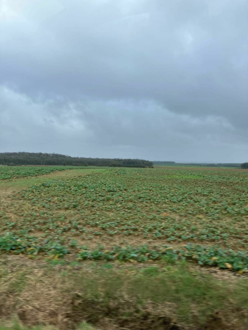 Affléville Bouligny par les étangs  d’Amermont - Affléville
