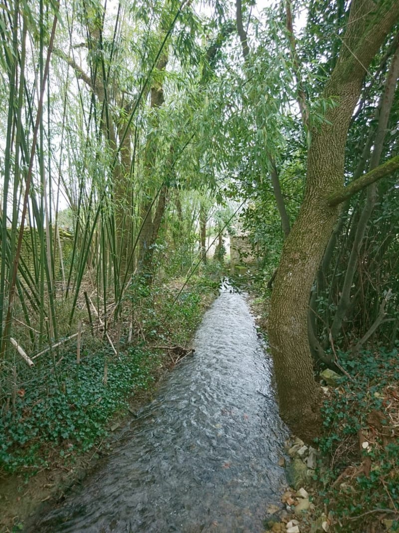 Entre vieilles pierres et ruisseaux à St Symphorien - Saint-Symphorien