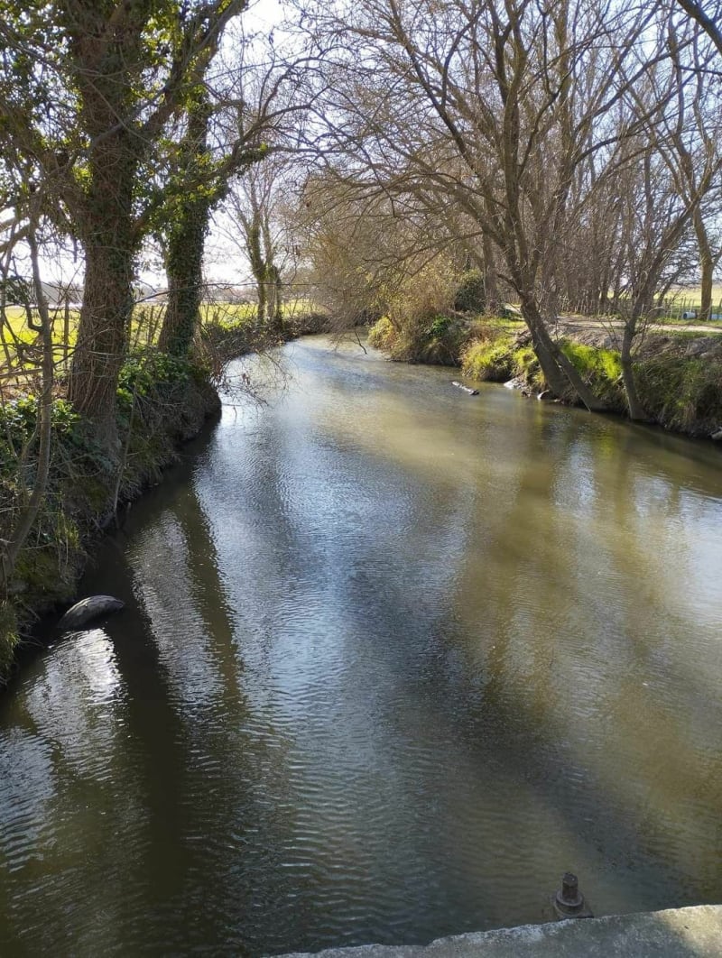 Boucle de Gallician - Vauvert