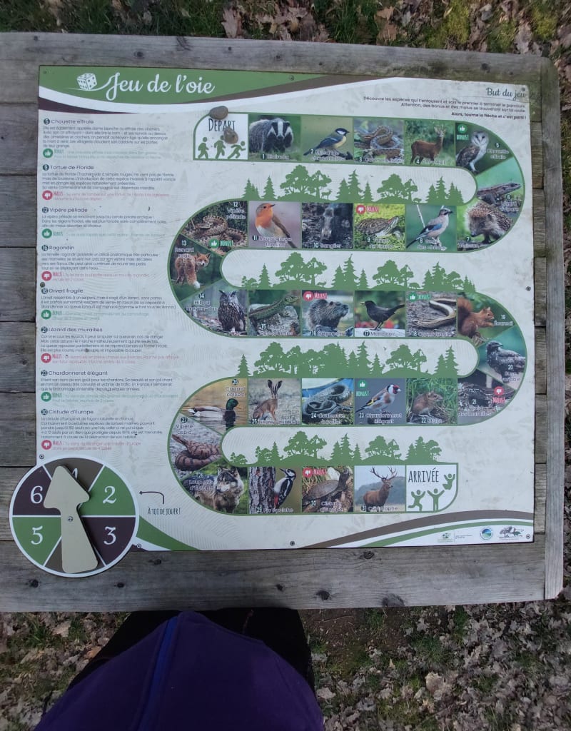 Parcours pédagogique d'Ensisheim par l'Allmend - Pulversheim