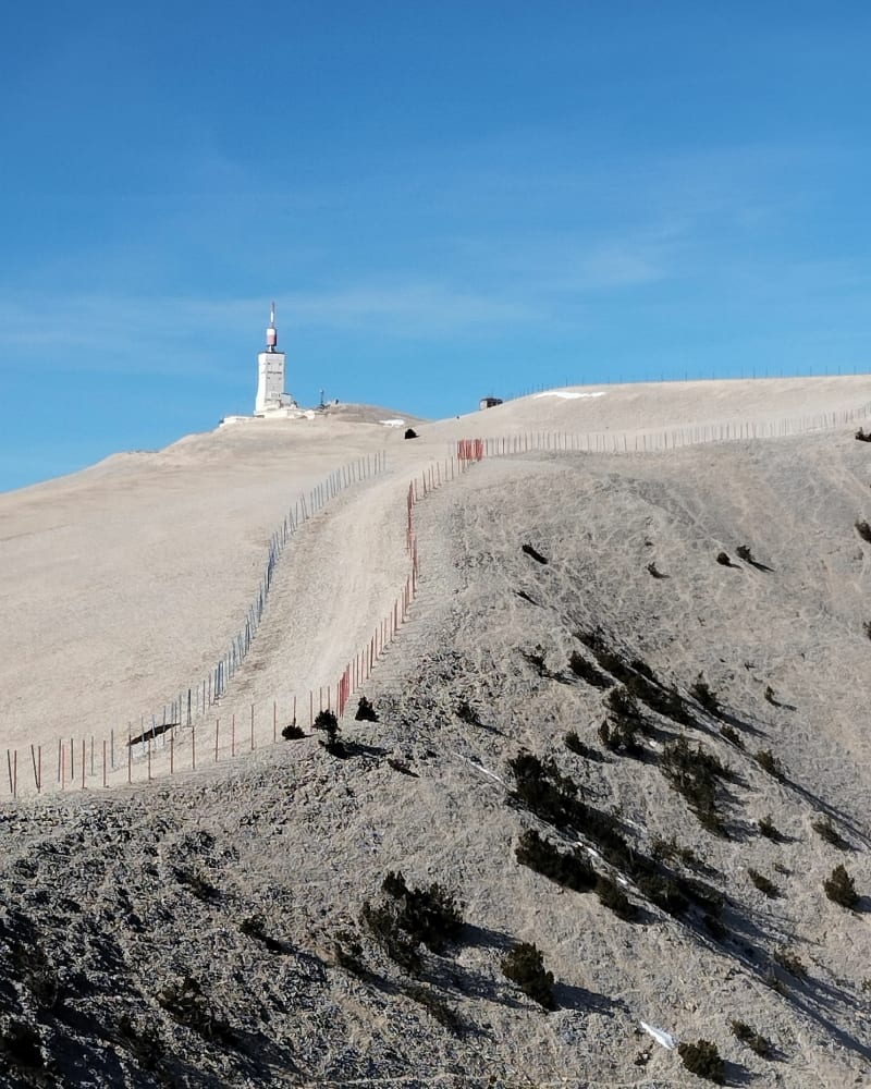 Boucle sur les crêtes du Ventoux au départ du châlet Reynard - Bédoin