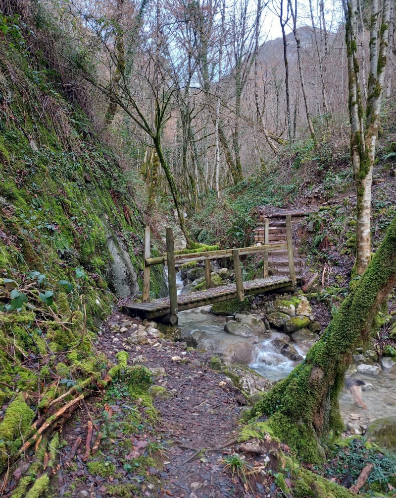 Balade en forêt avec vu sur la Chartreuse - Cruet