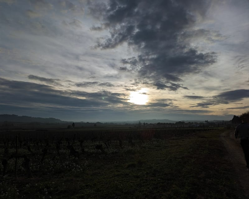 Saint Geniès de Fontedit Circuit: vigne et patrimoine - Saint-Génies-de-Fontedit
