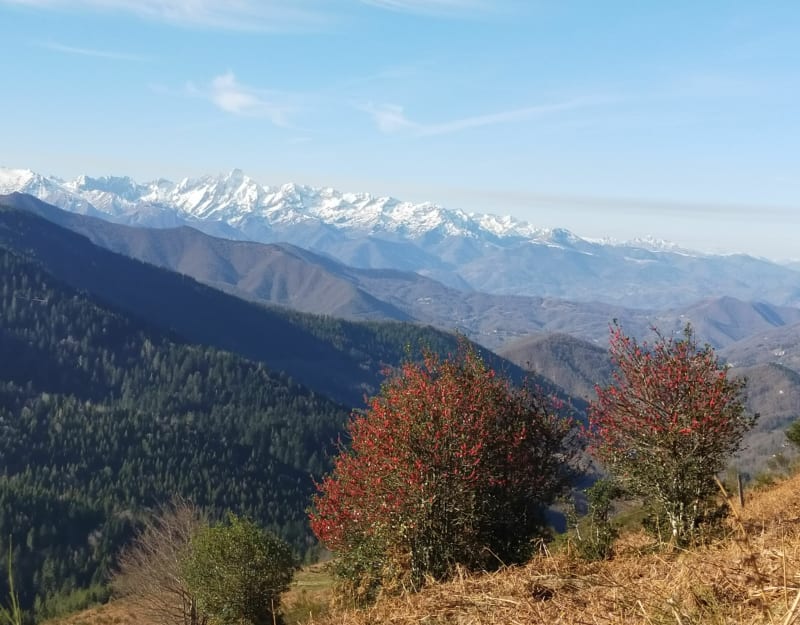 Rocher de Batail via le Col de Port - Saurat