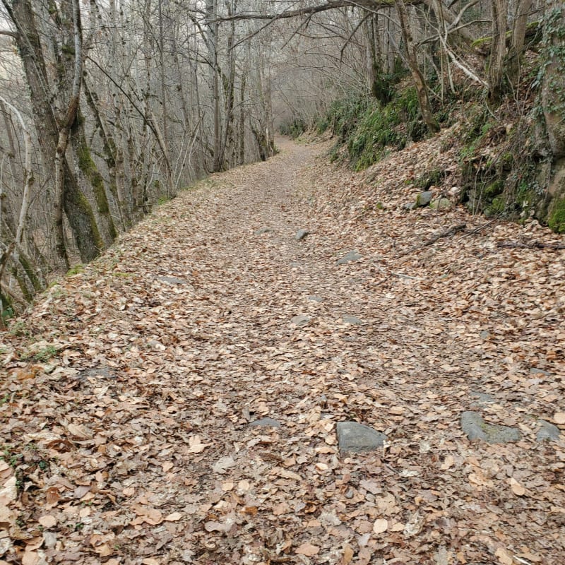 Montée au lac de Goulours - Ax-les-Thermes