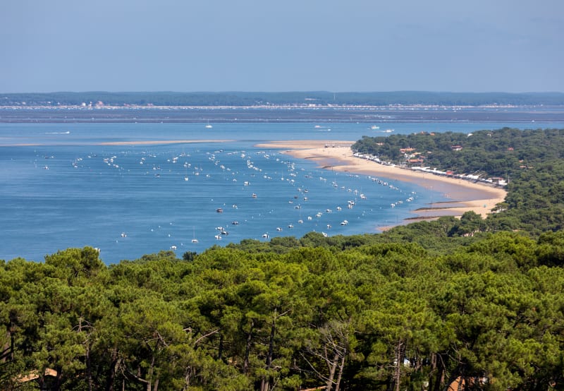 Une belle boucle en VTT près de la Teste-de-Buch - Arcachon