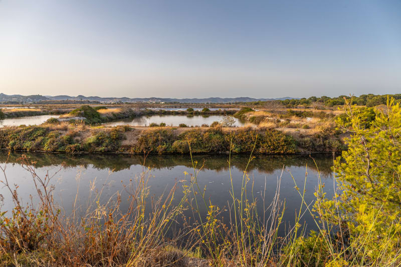 Balade entre Giens et les Salins des Pesquiers - Hyères