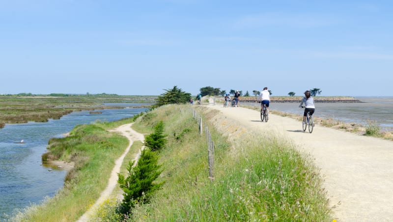 Barbâtre par le marais de la Berche à vélo - Barbâtre