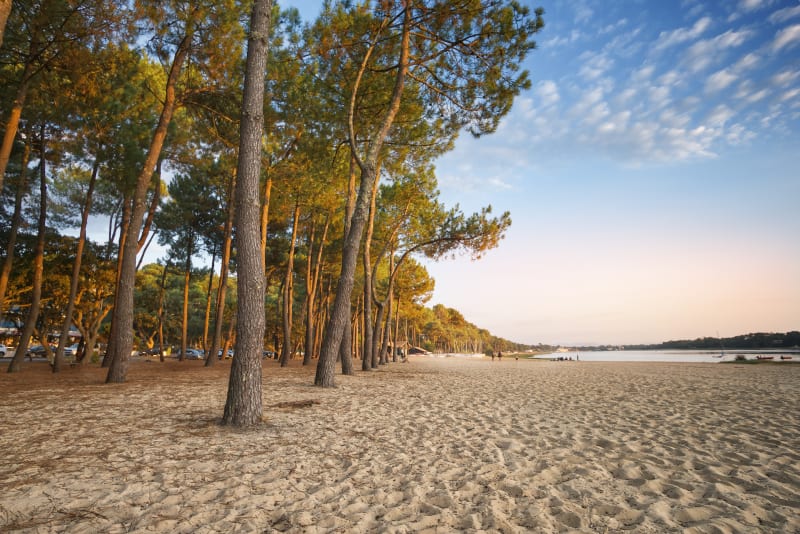 Boucle à vélo le long de la mer et retour dans les pins - Soorts-Hossegor