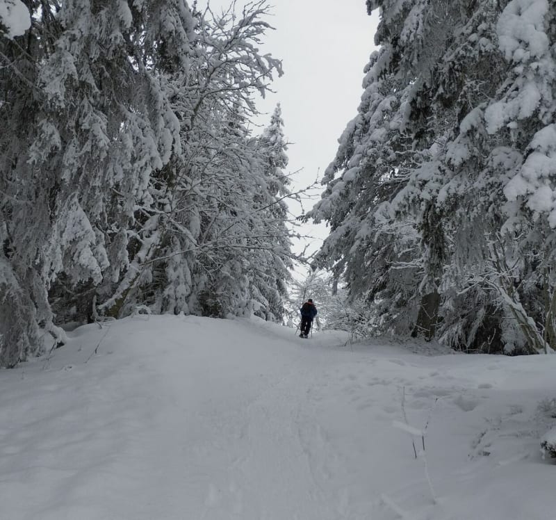 Sentier N°6 Merdassier - Manigod