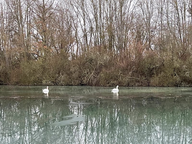 Guignicourt à Neufchatel-sur-Aisne. Retour le long du canal. - Villeneuve-sur-Aisne