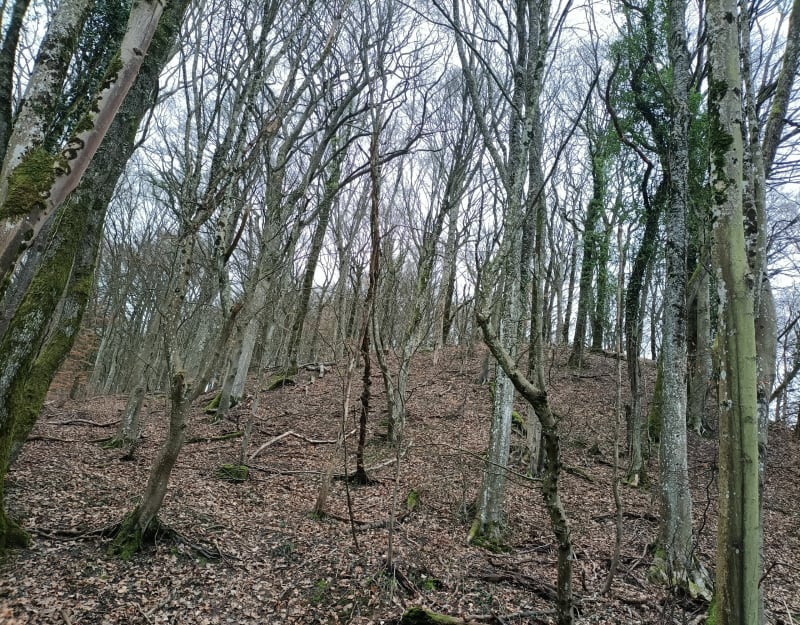 Volkrange et Côte Saint-Michel - Thionville