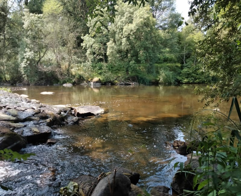 Rochard et le Viaduc de Barbin - Mortagne-sur-Sèvre