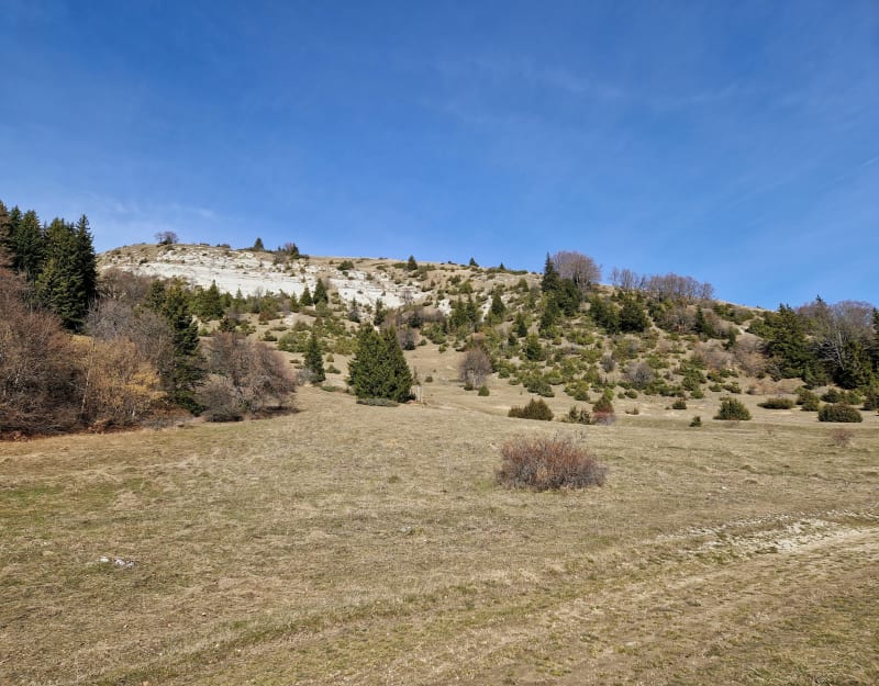 Plateau du Sornin à partir d'Engins - Engins