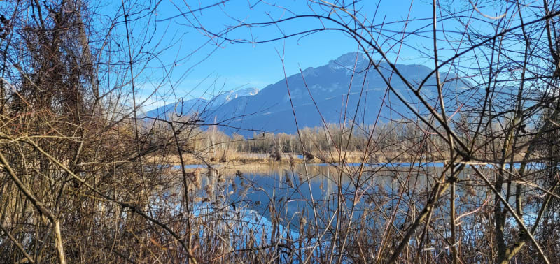 Balade sur les bords de l'Arve - Saint-Pierre-en-Faucigny