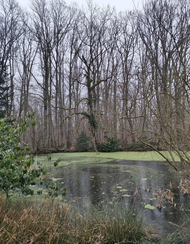 Entre Forêt et Ville Vierzon - Vierzon