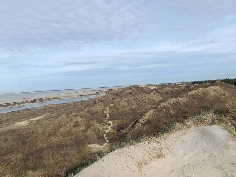 De la dune à la mer, depuis le Phare de Cayeux - Cayeux-sur-Mer