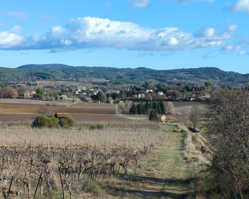 Vignobles de La Tour-d'Aigues par Cancarbonnier - La Tour-d'Aigues
