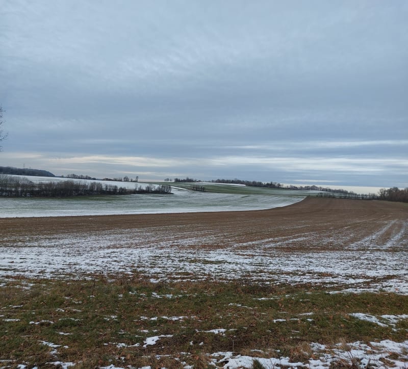 Forêt de Grenant - Grenant-lès-Sombernon