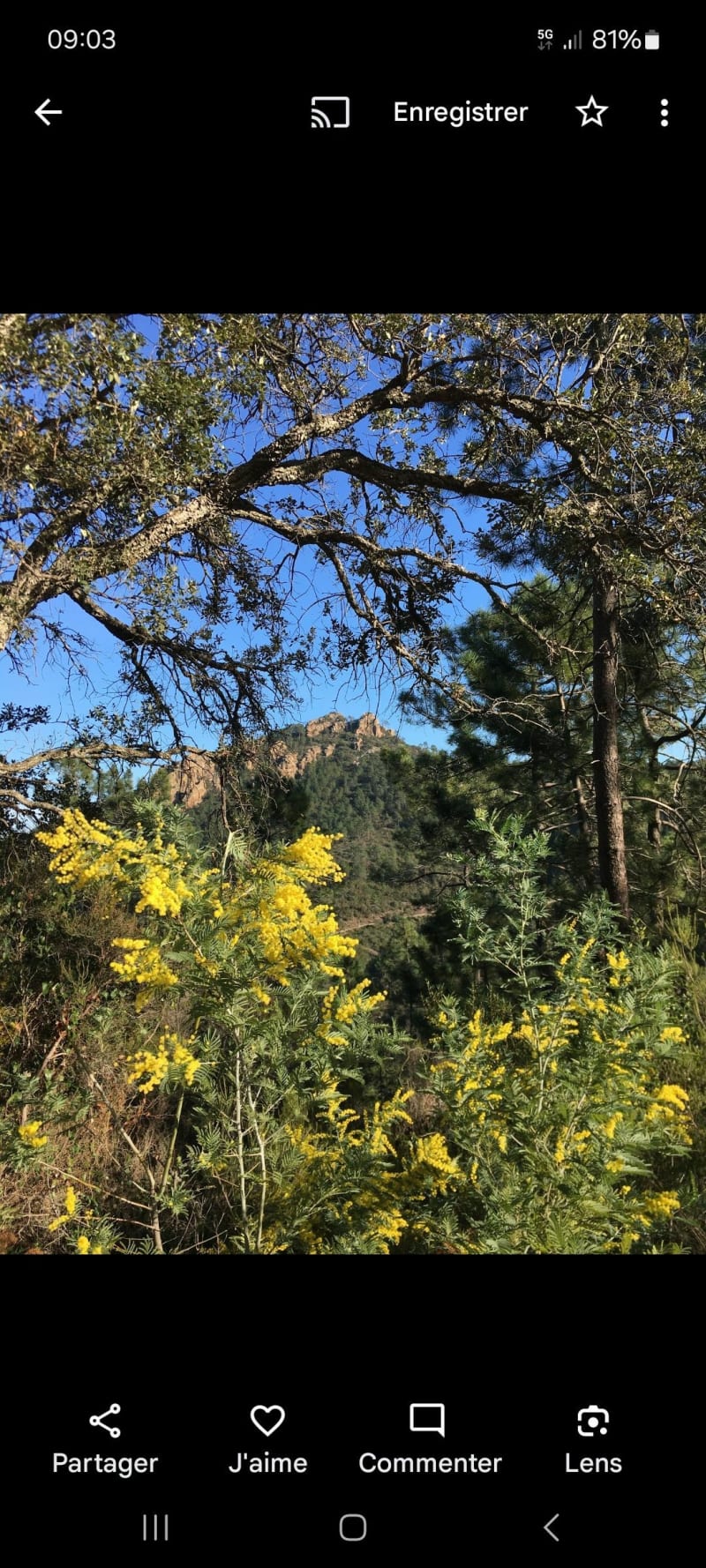 Fréjus, Les Suvières au coeur de l'Esterel - Fréjus
