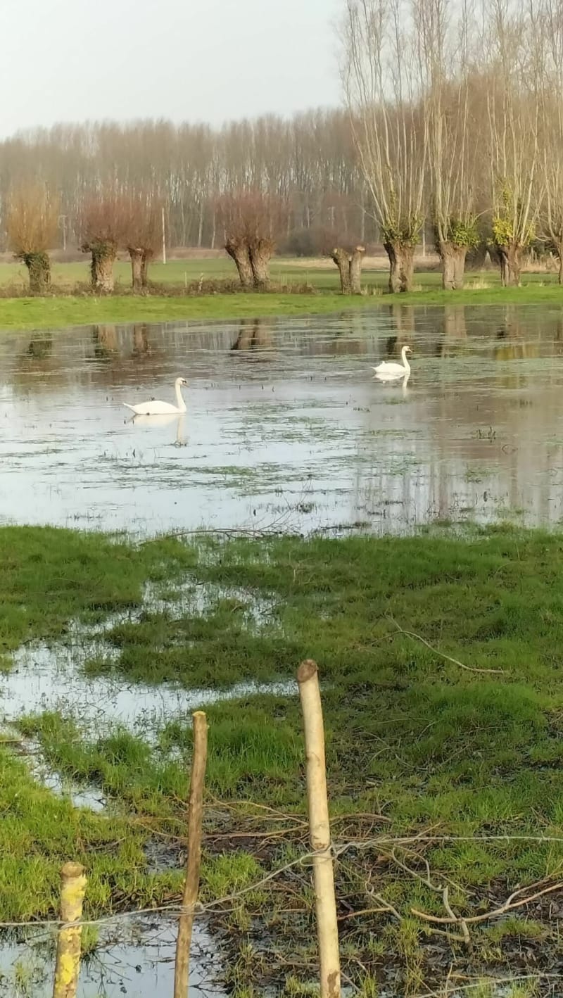 Balade autour de Beuvry - Beuvry