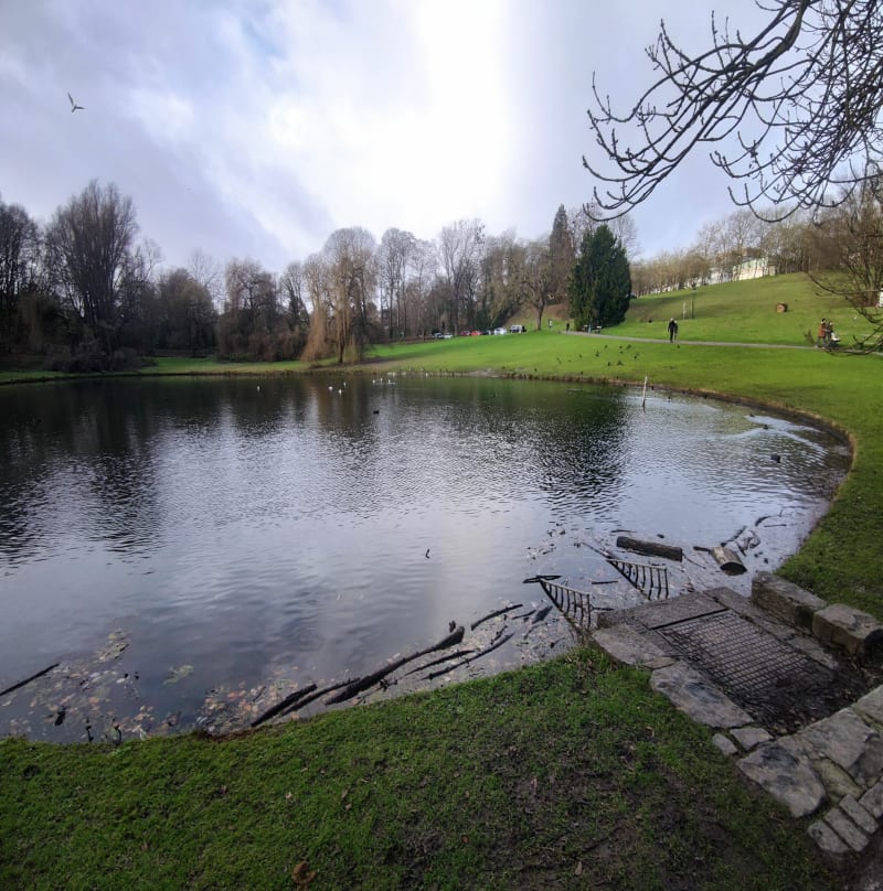 Parc du Gâtinais et Bois de la Chapelle Ste-Anne - Videlles