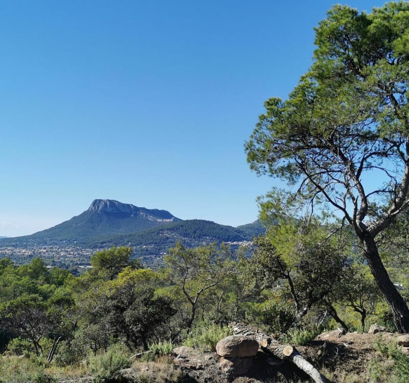 Panorama depuis les crêtes de la Navarre par Roucas de Monié - Cuers
