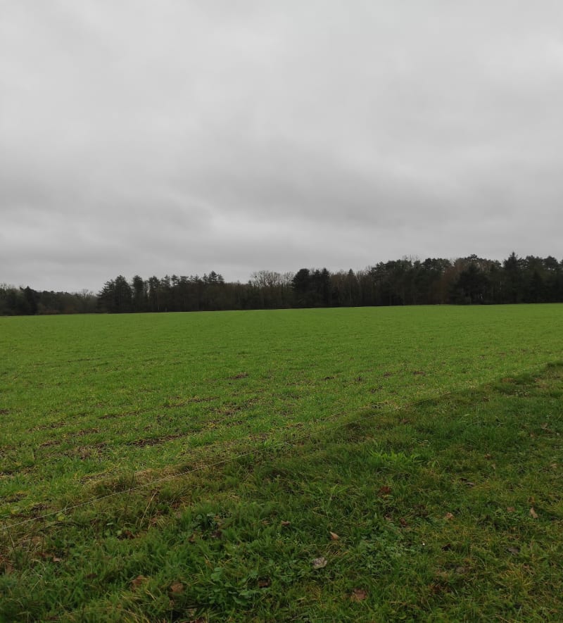 Balade à Pierrefitte - Pierrefitte-sur-Sauldre
