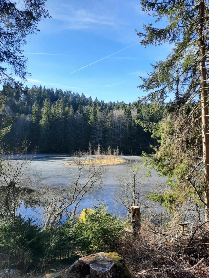 Auberge et lac Vosgien et tour du Pré Thia - La Bresse
