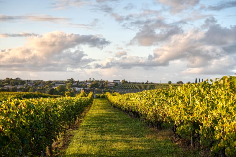 Vallée de la Charente à vélo, Châteauneuf-sur-Charente à Cognac (Jour 5) - Châteauneuf-sur-Charente