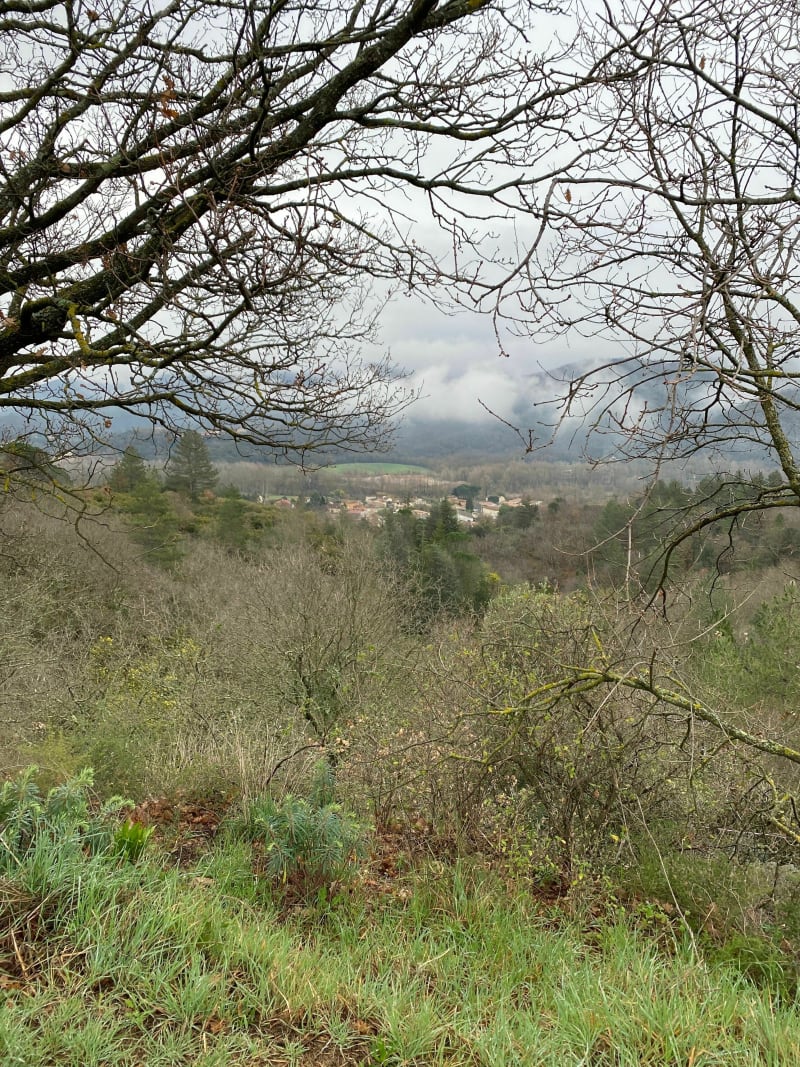 Le Poujol Combes Le Vernet - Le Poujol-sur-Orb