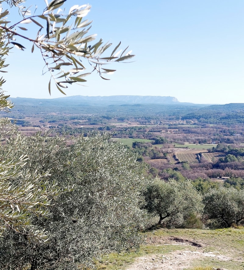 Forêt domaniale, la Quiho et la chapelle Sainte Réparade - Le Puy-Sainte-Réparade