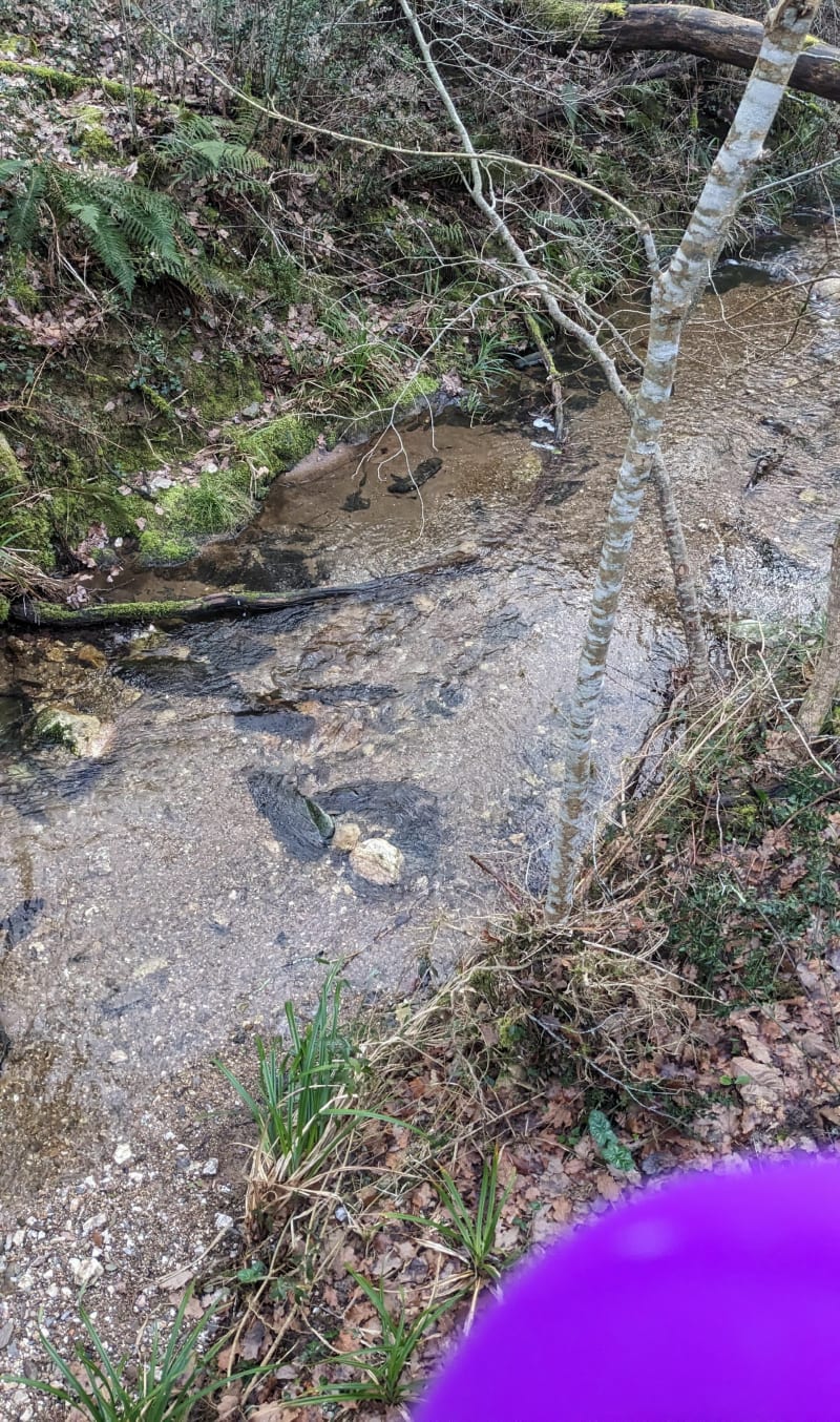 Balade Arthesienne et ruisseau de Sarlan - Arthès