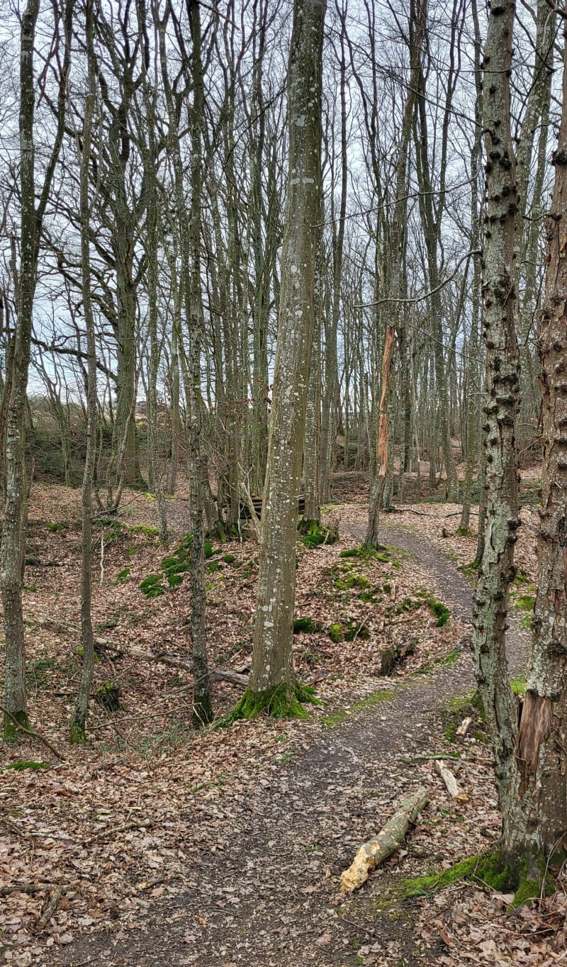 Vtt Castelneuvien - Favières