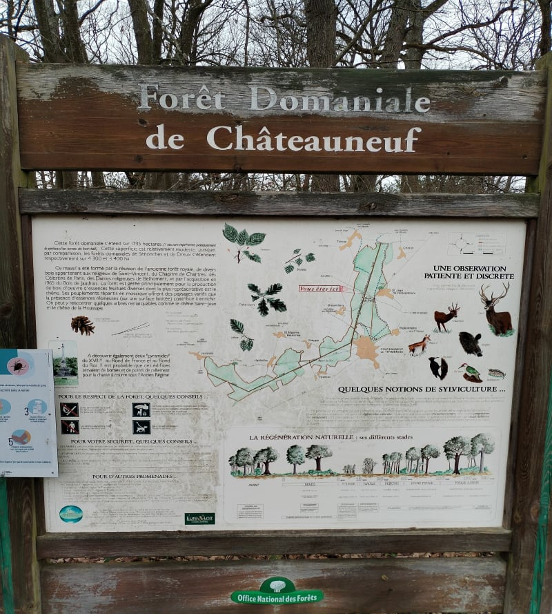 Rando en forêt de Châteauneuf-en-Thymerais - Saint-Maixme-Hauterive