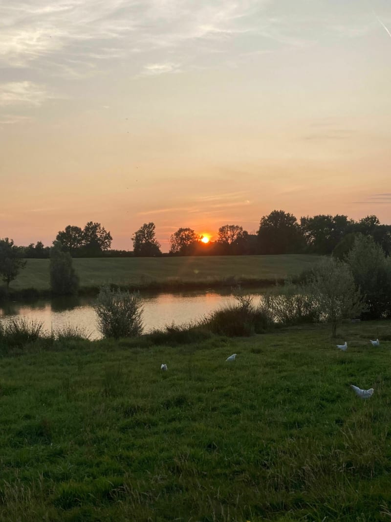 Petite balade tranquille en Bresse - Saint-Julien-sur-Reyssouze