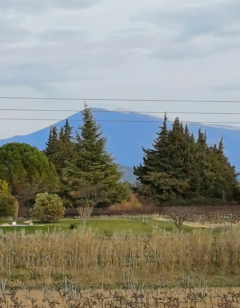 Balade entre Aubignan et Beaumes de Venise - Aubignan